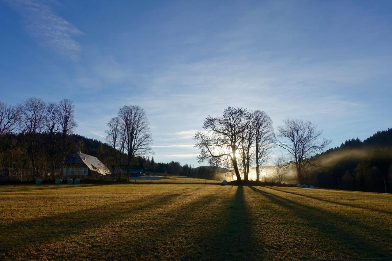Hollhouse - Bed & Breakfast Hinterzarten Exterior photo